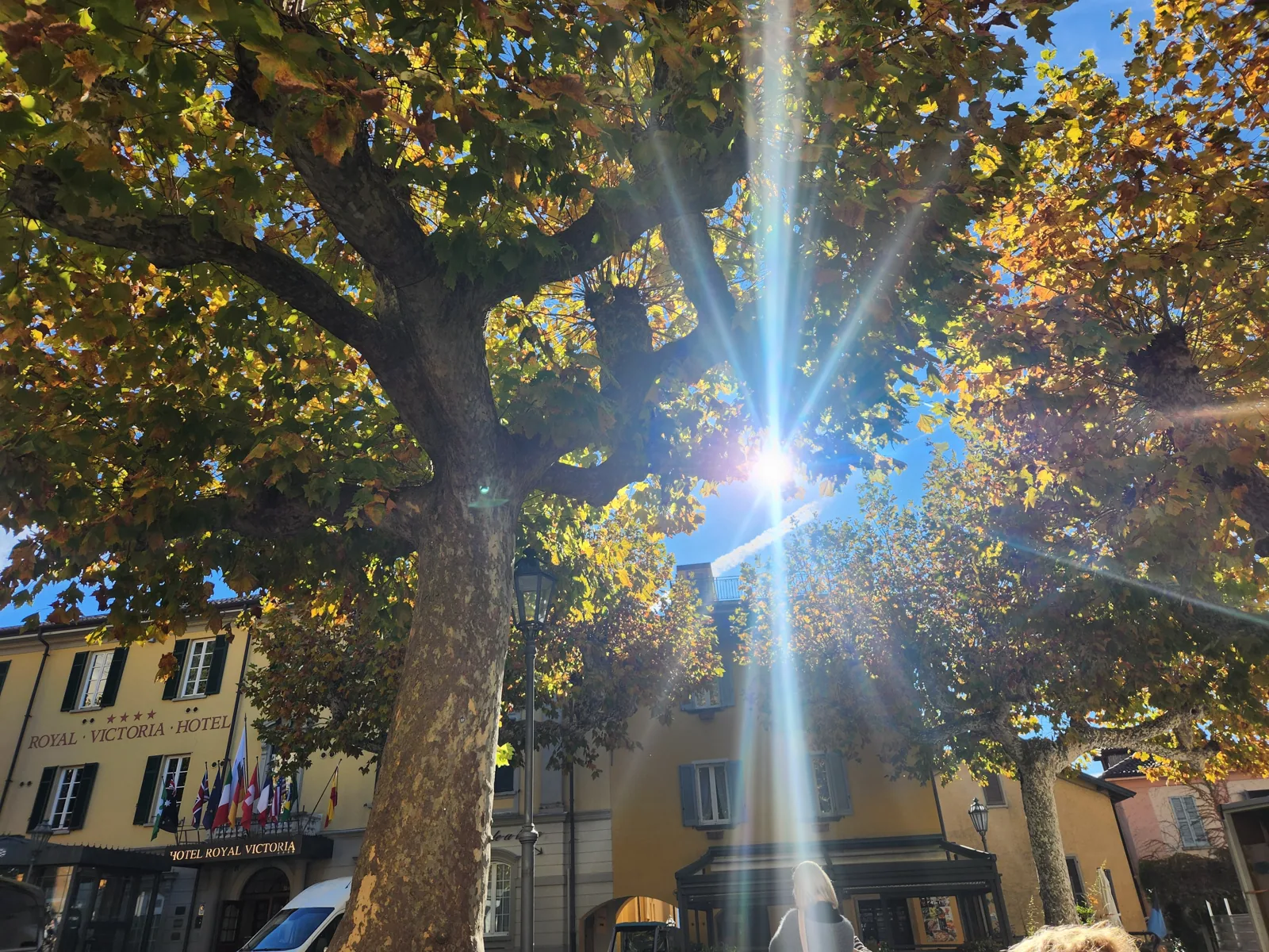 Golden autumn plane trees over a village piazza on Lake Como