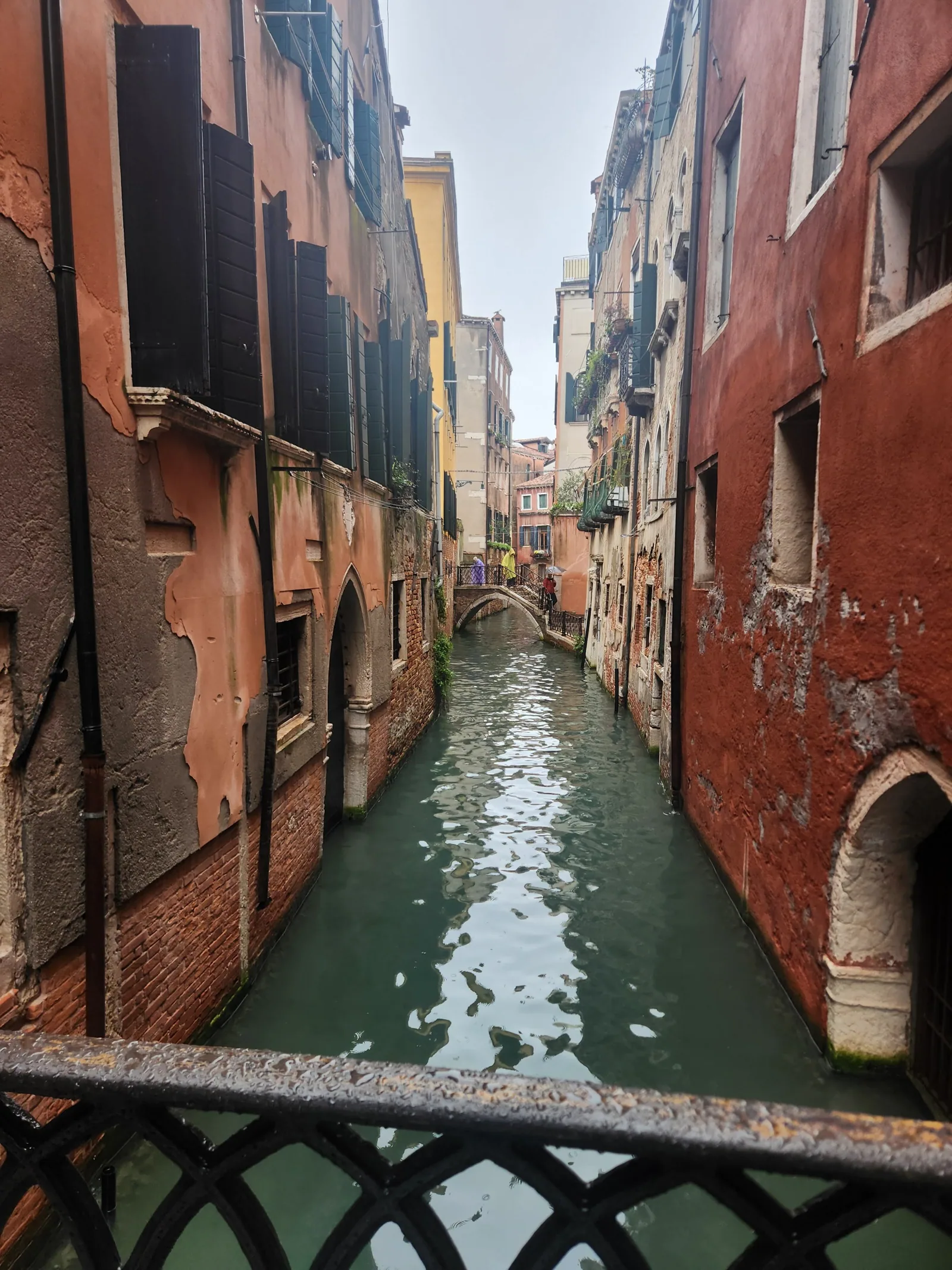 A quiet green canal between old buildings in Venice