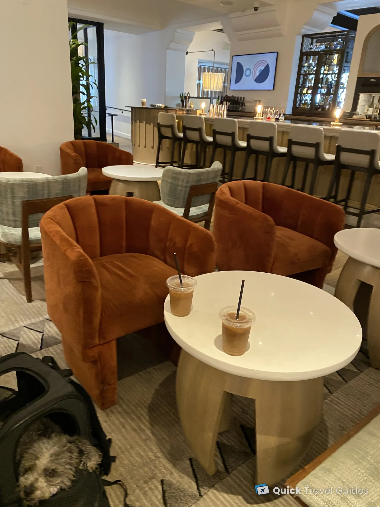 Iced coffees in the lobby bar at the Kimpton Canary in Santa Barbara, with our dog in its carrier