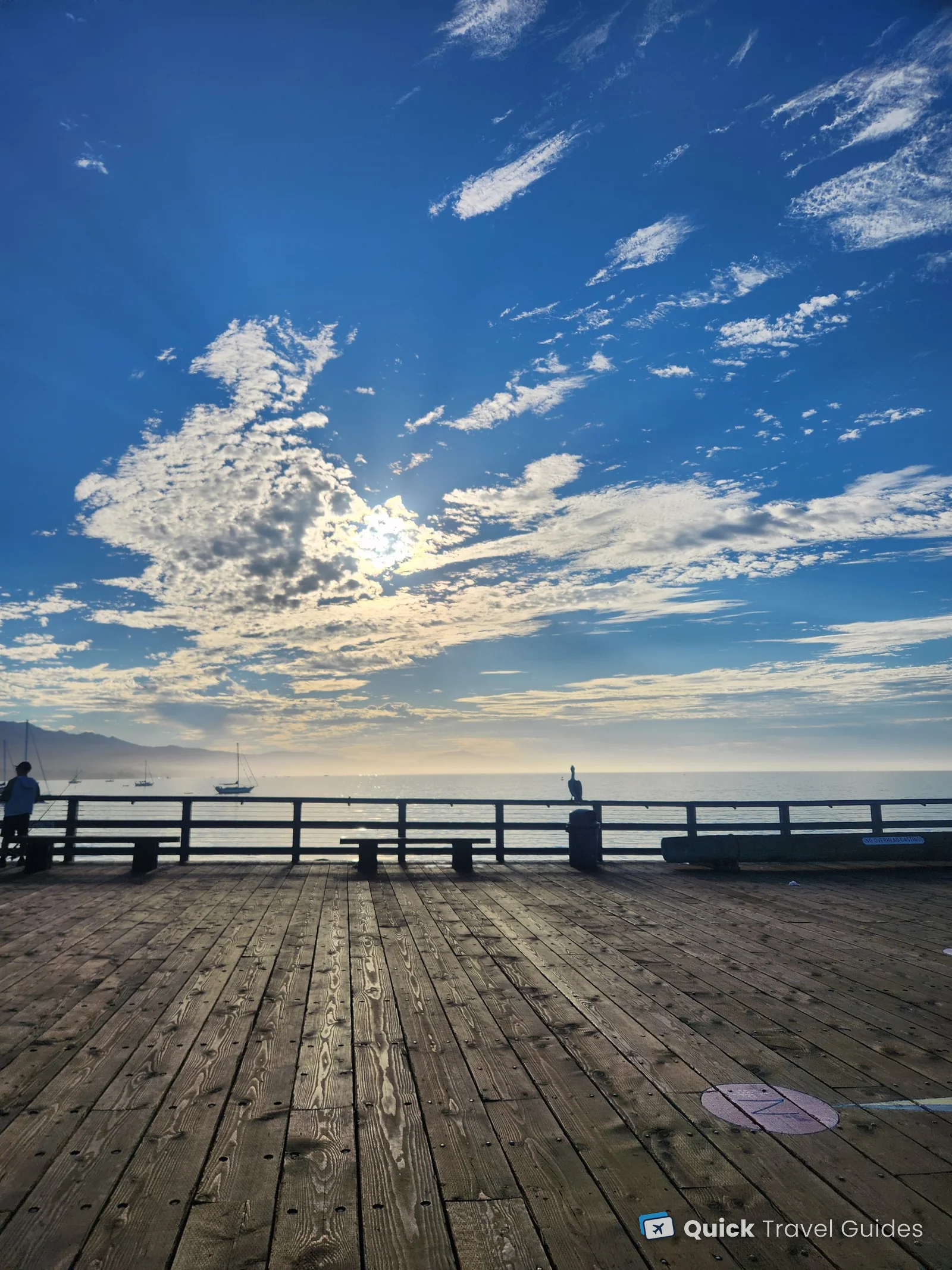 A pelican on the railing of Stearns Wharf in Santa Barbara, with sailboats at anchor and the morning sun behind the clouds