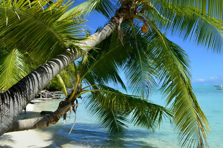 A view of Bora Bora