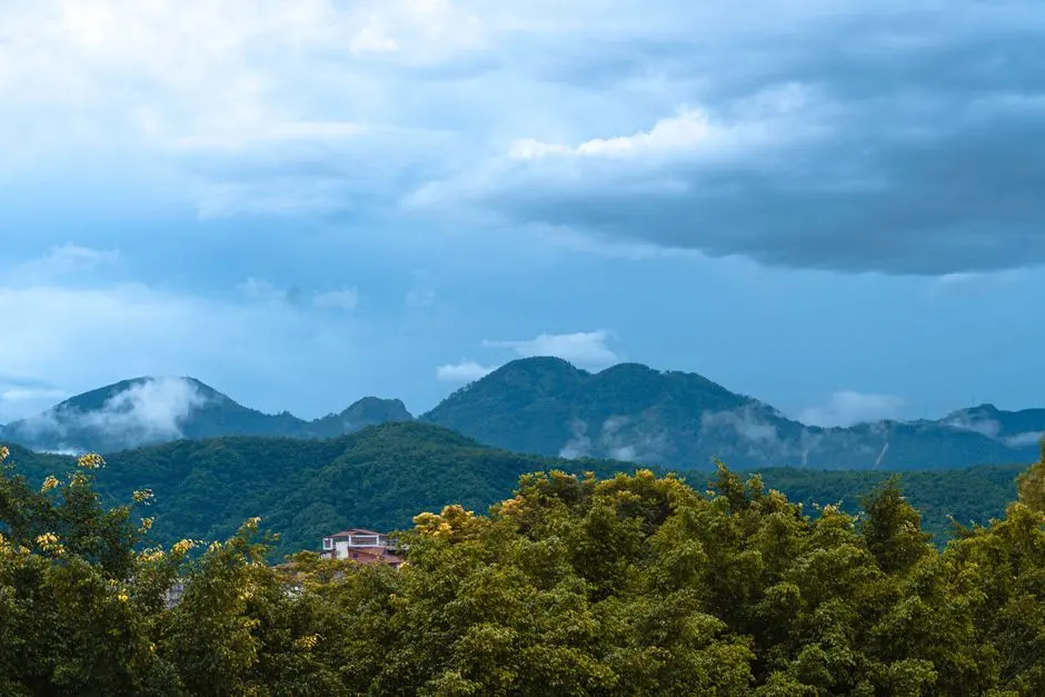 A view of Dehradun