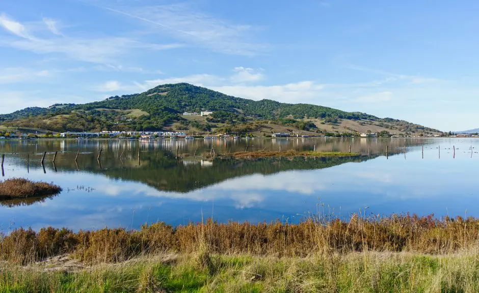 A view of Healdsburg