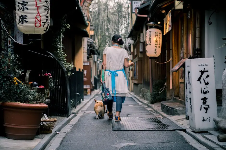 A view of Kyoto