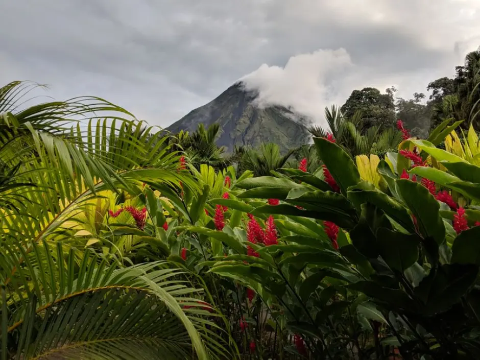 A view of La Fortuna