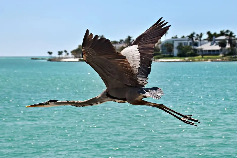 A view of Longboat Key