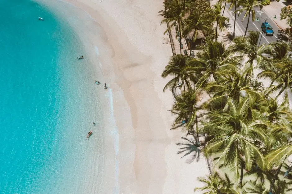 A view of Palm Beach