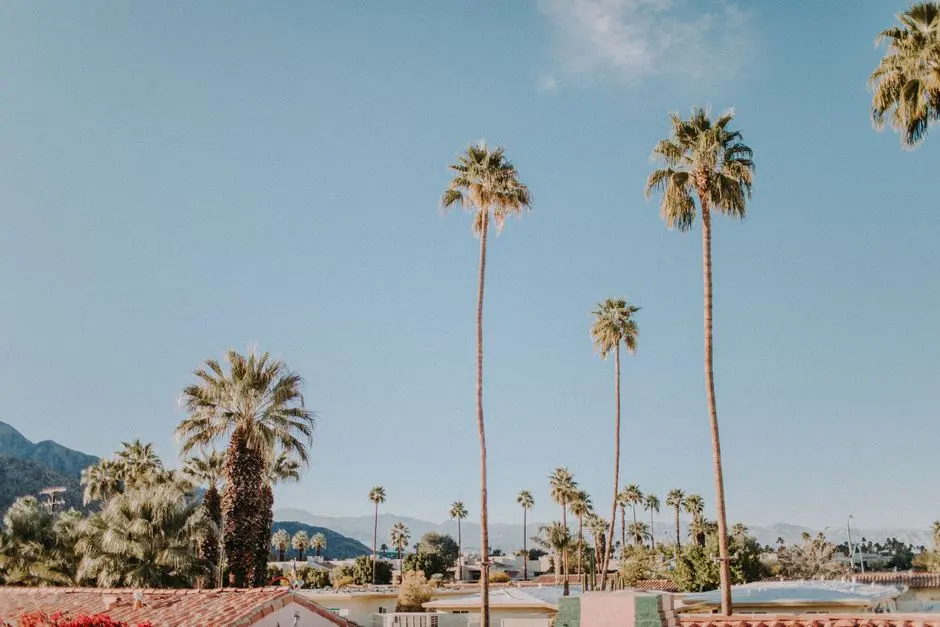 A view of Palm Springs