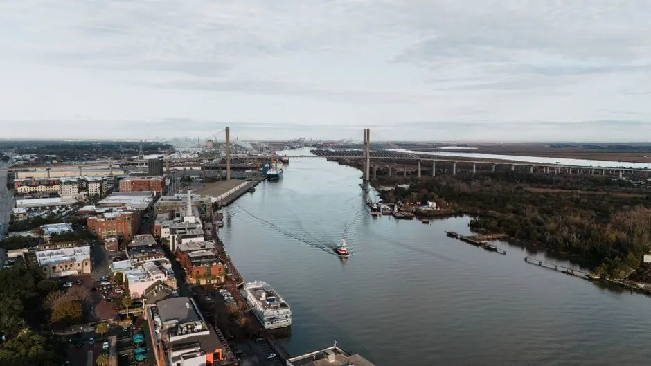 A view of Savannah