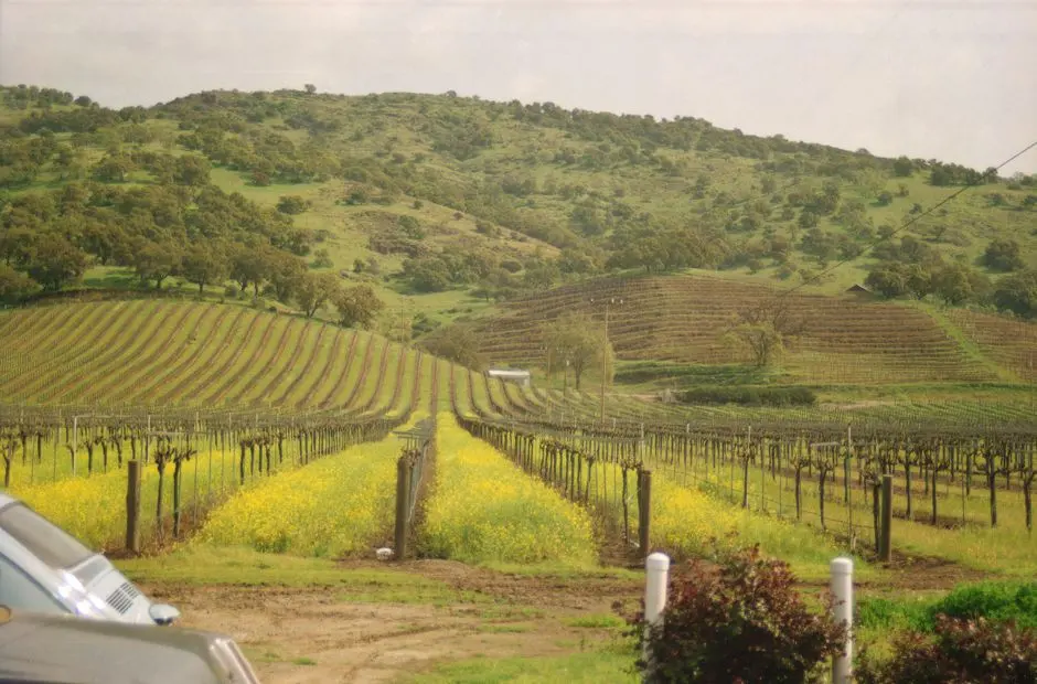 A view of Sonoma